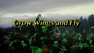 Grow Wings and Fly [King Gizzard 2023 Tour Documentary]