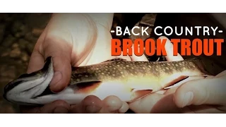 Back Country Brook Trout- Michigan Gone Wild