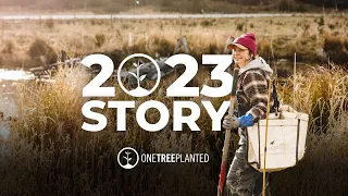 Our 2023 Global Reforestation Impact | One Tree Planted