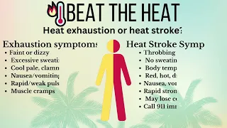 Stay Safe This Summer: Tips to Beat the Heat