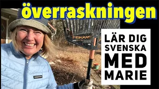 Överraskningen - Lär dig svenska med Marie