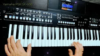 Modern Talking - Last Exit to Brooklyn cover Yamaha PSR SX-600