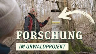 Unser Wald wird erforscht! – Wohllebens Waldakademie X Uni Koblenz