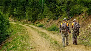 Can We Go 3 for 3?! | Montana Public Land Bear Hunt '19 (Day 7 & 8)