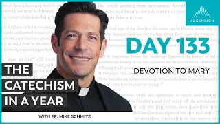 Day 133: Devotion to Mary — The Catechism in a Year (with Fr. Mike Schmitz)