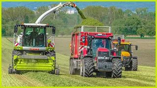 Senáže Vojtěšky 2022 | Traktory v Akci / Tractors in Action | ZD Unčovice