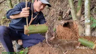 Today l made a bamboo rat trap