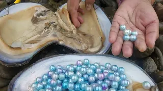 The mussels are filled with large purple pearls, each crystal clear and expensive