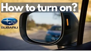 Subaru Blind Spot Detection