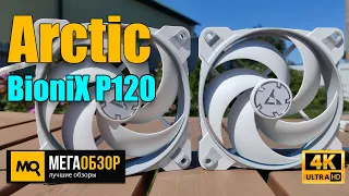 Arctic Cooling BioniX P120 обзор. Вентиляторы с высоким статическим давлением