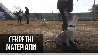 Собаки проти коронавірусу – Секретні матеріали