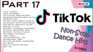 TikTok Non-Stop Dance Hits Part 17 ~ DJ Sherr