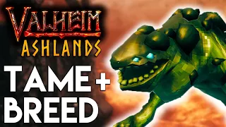 🔥Valheim - Asksvin Tame + Breed Guide