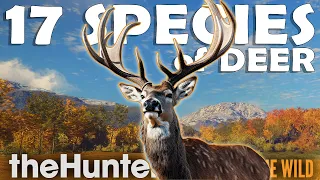 Hunting EVERY SPECIES of DEER in the GAME!!! - Call of the Wild