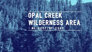 Exploring the Opal Creek Wilderness Area in Clackamas County