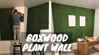 Faux Boxwood Plant Wall [EASY DIY]