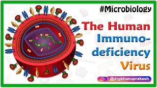 The Human immunodeficiency virus (HIV) , Medical microbiology animations