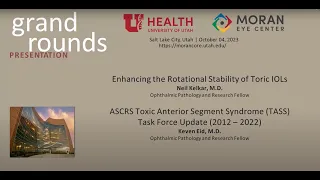 Enhancing the Rotational Stability of Toric IOLS; ASCRS TASS Task Force Update (2012-2022)