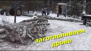 Заготавливаем дрова.