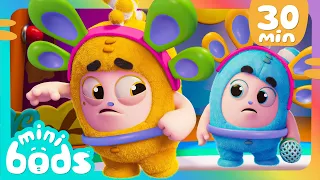 Ansia da palcoscenico 🎤😳 | Cartoni Animati 📺 | Video divertenti | MINIBODS | Oddbods Italia