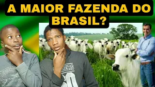 ESTA É A FAZENDA RONCANDOR UMA DAS MAIORES FAZENDAS DO BRASIL COM MAS DE 150MIL HECTARES