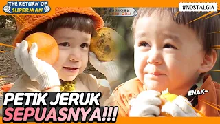 [IND/ENG] Stop playing around! Let's pick oranges to donate!🍊🍊 | Nostalgia Superman