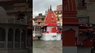 Haridwar Darshan ! Har ki Pauri #ganga #gangadarshan #haridwar #shorts #shortvideo #viral #hindupuja