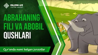 28. Abrahaning fili va abobil qushlari (1-qism) | Qur'onda nomi kelgan jonzotlar