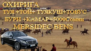 Тожикистонда улок охири Mersides Bens+ туя+той+бури+туякуш+товус+5000 сомон 23феврал исфара