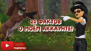 20 фактов о моём АККАУНТЕ в Star Stable Online | Игра про лошадей