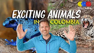 The Most EXOTIC ANIMALS in Colombia – Colombian Travel Guide