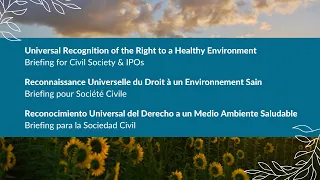 Universal Recognition of the Right to a Healthy Environment — Brief for Civil Society & IPOs