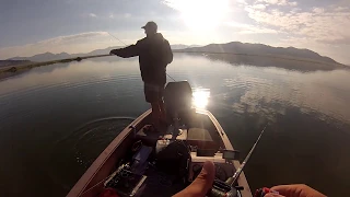 Free Spool Freaks: Pike Fishing