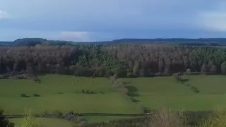 Raptor Viewpoint (Wykeham Forest)