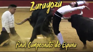 🏆🇪🇸 GRAN FINAL CAMPEONATO DE ESPAÑA DE RECORTADORES CON TOROS · ZARAGOZA 2017