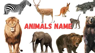 animals name Tamil and english/ விலங்குகள் பெயர்கள்/kids learning/@Saravanashivani