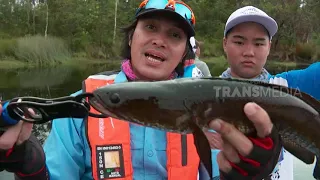 MANCING MANIA | SARANG ARWANA DI SUNGAI MAPPI (04/11/18) 2-3