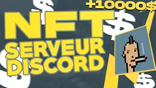 Mon Serveur DISCORD NFT !!! Les meilleurs projets NFT !!!