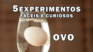 5 EXPERIMENTOS fáceis e curiosos com OVO