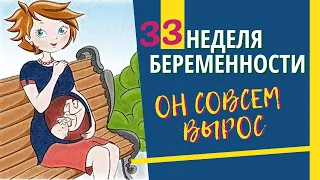 33 неделя беременности. Развитие плода. Что чувствует беременная. Как выглядит ребенок на 33 неделе