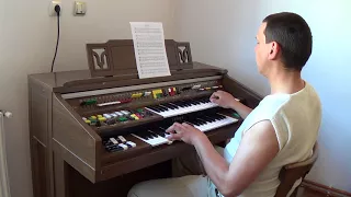 Schneewalzer - Organist Bujor Florin Lucian playing on the Yamaha Electone C-55N Organ