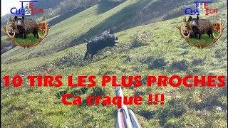 10 TIRS LES PLUS PROCHES Sangliers et Chevreuils ! En 8 ans de chasse !