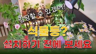 식물등 설치전 반드시 알아야 할 점ㅣ전기세가 문제가 아니다ㅣ이런 문제를 말해준 사람은 없었다ㅣ식물등 효과 보려다 식물이 죽어서 낭패 당한 이야기