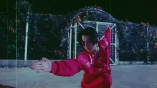 Moon Lee vs Yukari Oshima | Kung Fu vs Karate | Dreaming the Reality (1991)