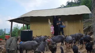 My past: 2 years ago raising pigs and chickens in the forest