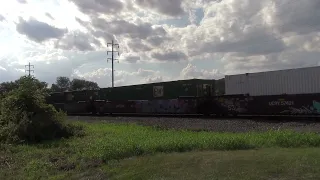 Eastbound NS 20V Elephant Style Intermodal Annville PA