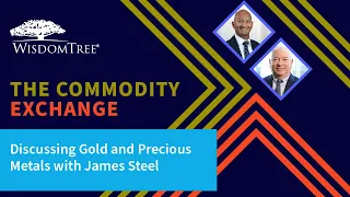 The Commodity Exchange: Discussing Gold and Precious Metals with James Steel