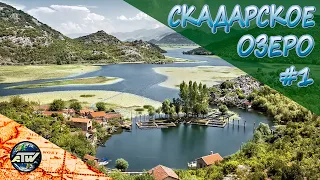 Скадарское озеро | Часть 1 - Вирпазар, старая Скадарская дорога и поиски пляжа | Черногория