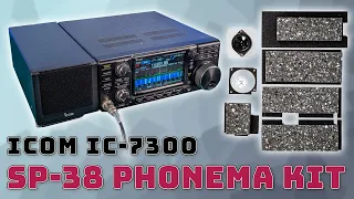 Icom IC-7300 📻 SP-38 Tischlautsprecher + Phonema PHITS Umbaukit