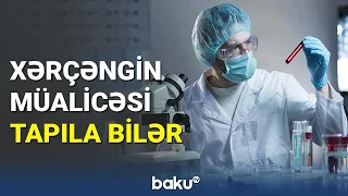 Xərçəngin müalicəsi tapıla bilər - BAKU TV